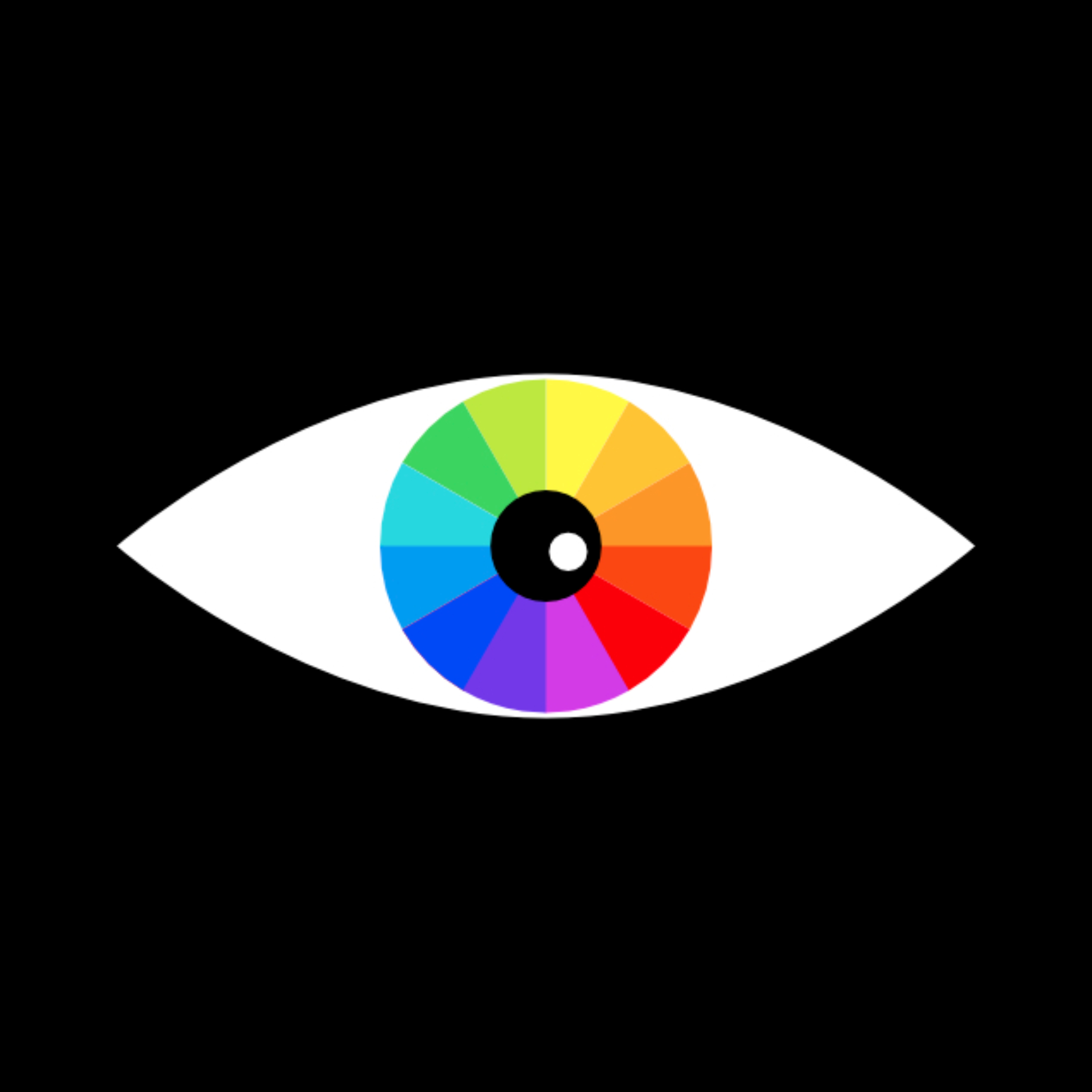 Il colore, il bianco e il nero
